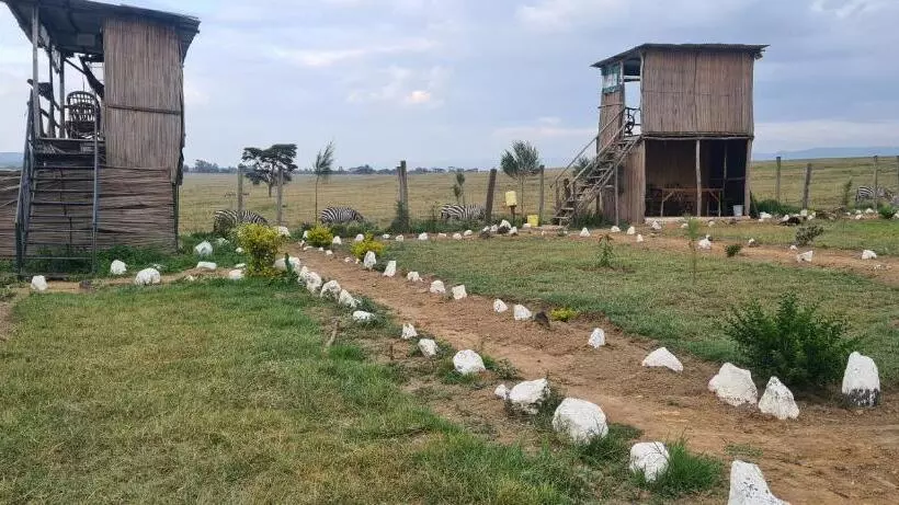 استراحتگاه Mambo Game View