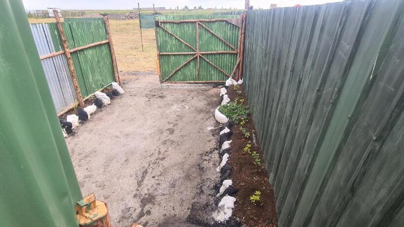 استراحتگاه Mambo Game View