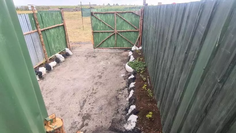 استراحتگاه Mambo Game View