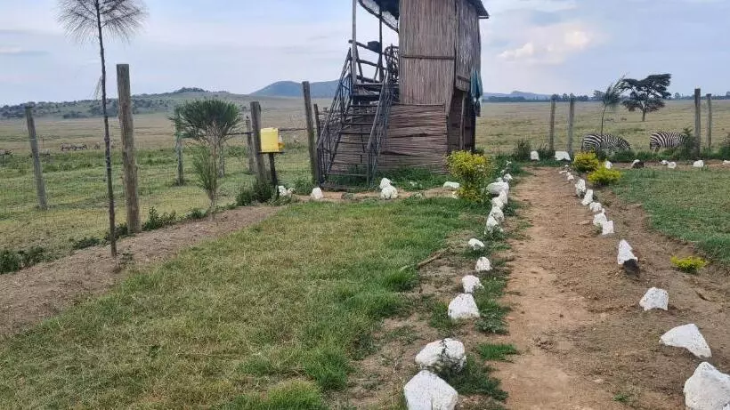 استراحتگاه Mambo Game View