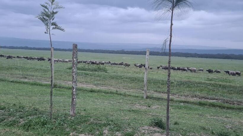 استراحتگاه Mambo Game View