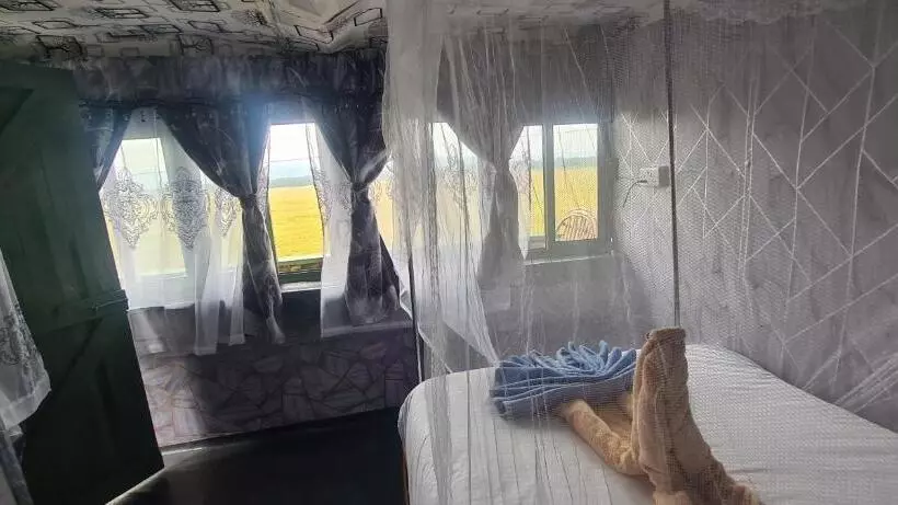 استراحتگاه Mambo Game View