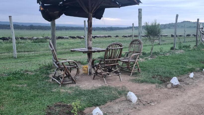 استراحتگاه Mambo Game View