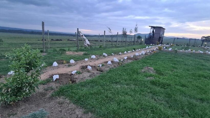 استراحتگاه Mambo Game View