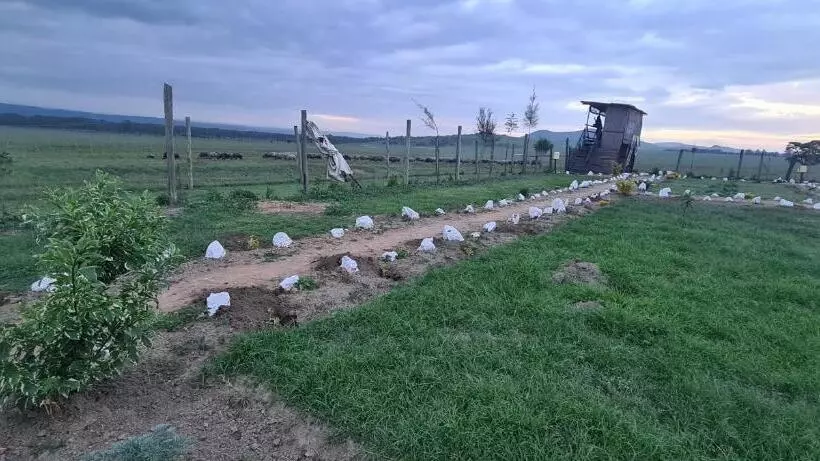 استراحتگاه Mambo Game View