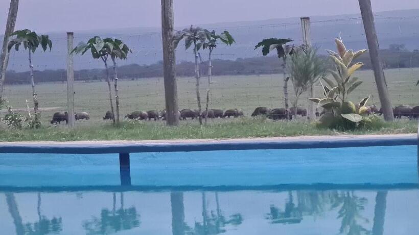 استراحتگاه Mambo Game View