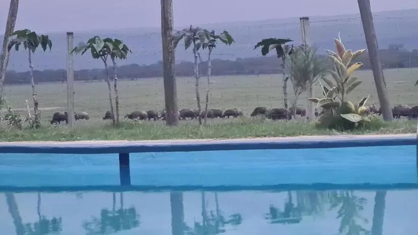 استراحتگاه Mambo Game View