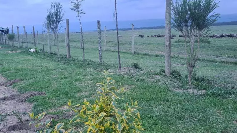 استراحتگاه Mambo Game View