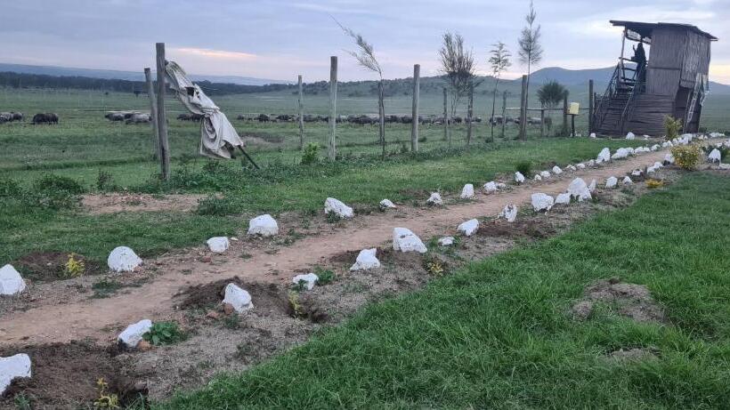 استراحتگاه Mambo Game View