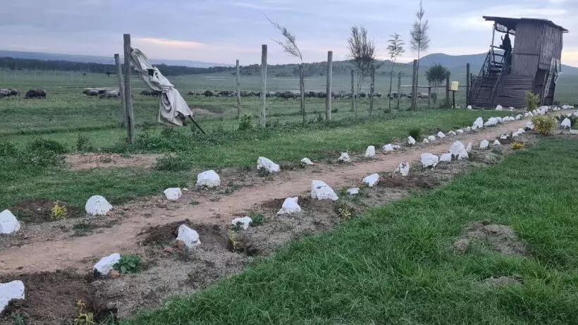 استراحتگاه Mambo Game View