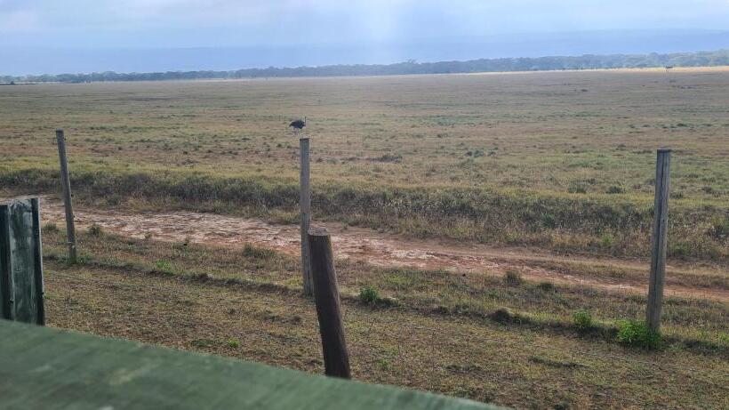 استراحتگاه Mambo Game View