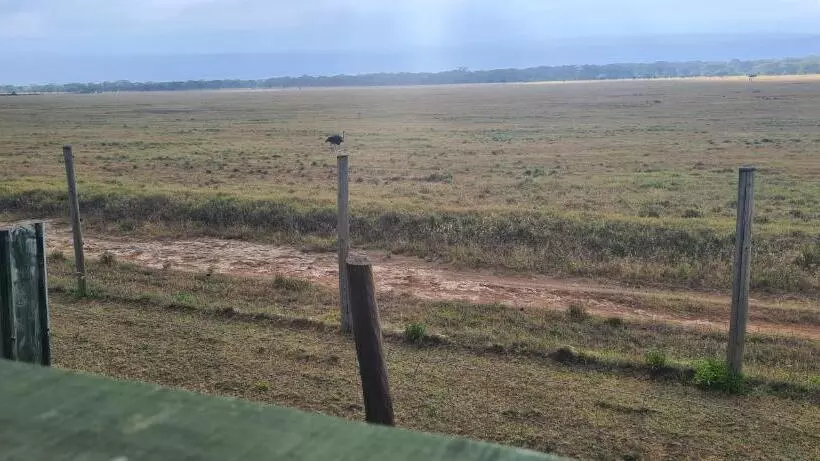 استراحتگاه Mambo Game View