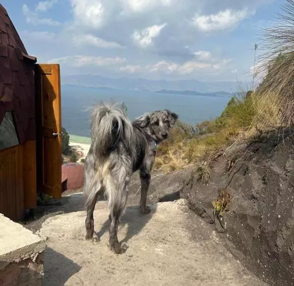 Aamiaismajoitus (B&B) Lago De Tota Playa Blanca Glamping Kairos