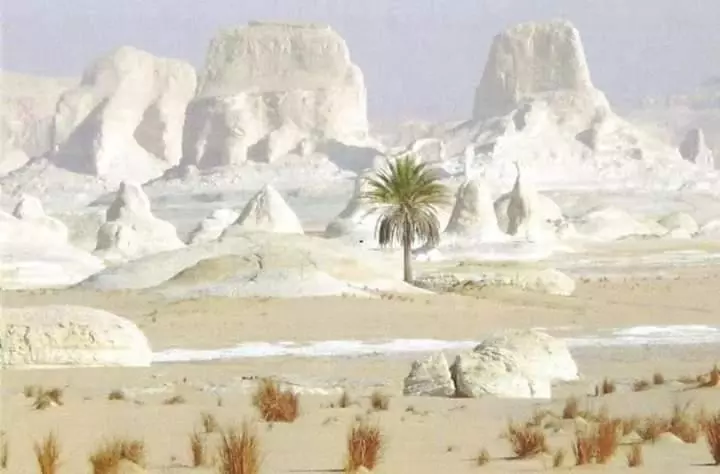 هتل Sand Rose Bahriya