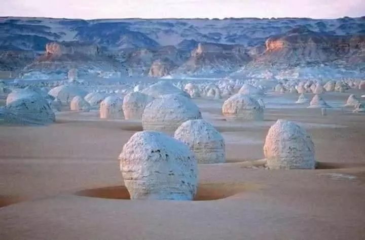 هتل Sand Rose Bahriya