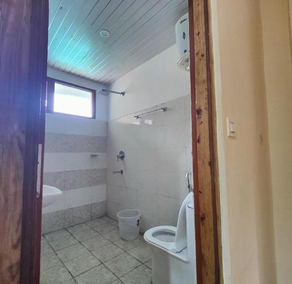 בית מלון כפרי The Woodpecker Inn Jibhi