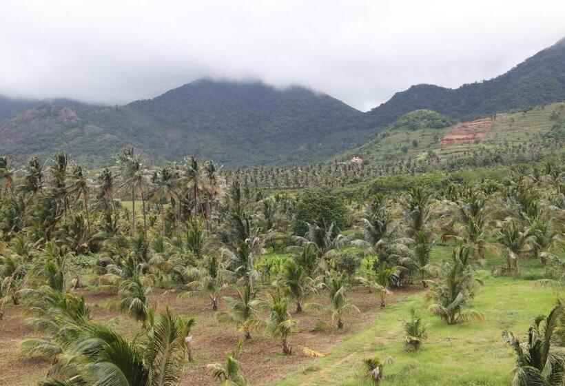 Mma Resorts & Hill Bungalow