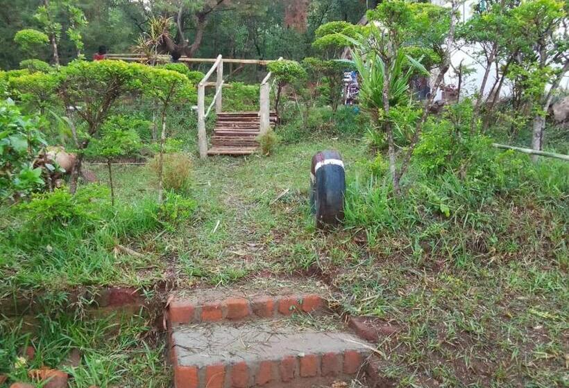 پانسیون Daliko Farm