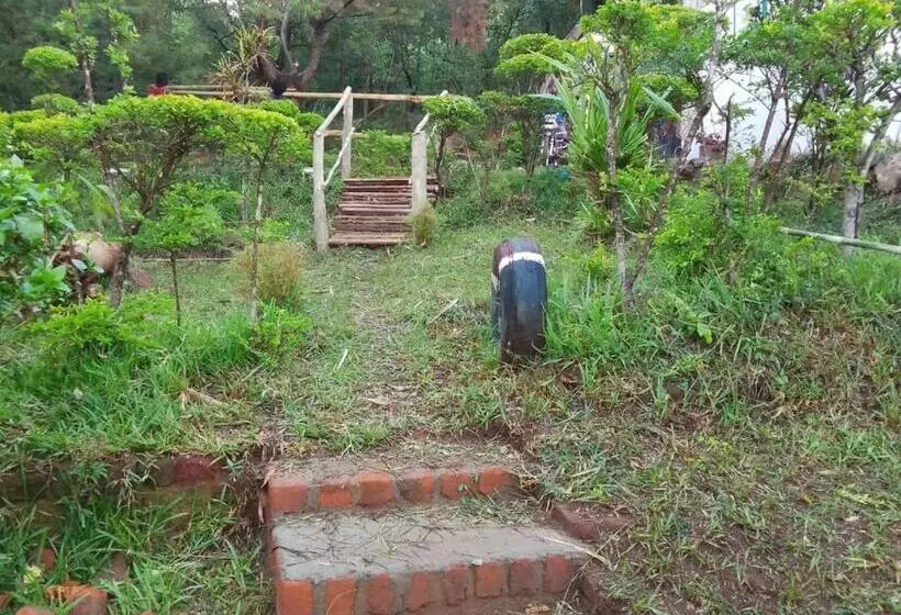 پانسیون Daliko Farm