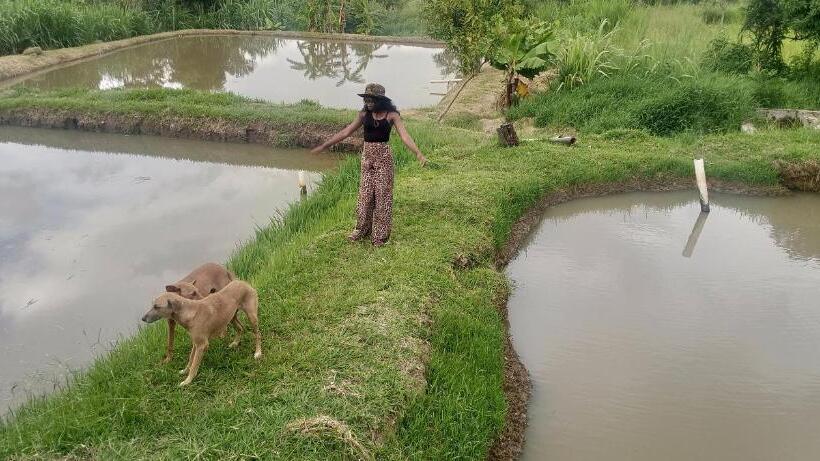 پانسیون Daliko Farm