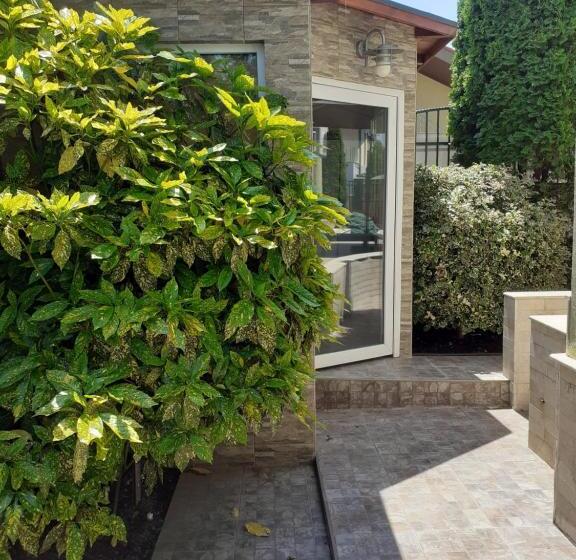 بنسيون Green House