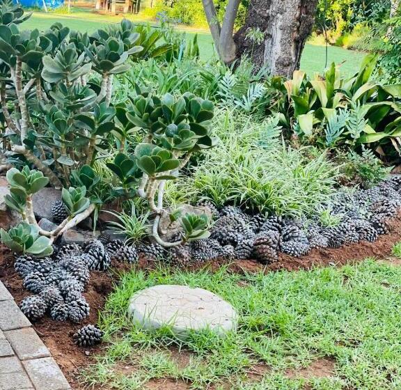 Пансион The M Pire Cottage