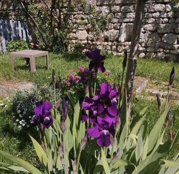 Aamiaismajoitus (B&B) Au Logis De Véchillot