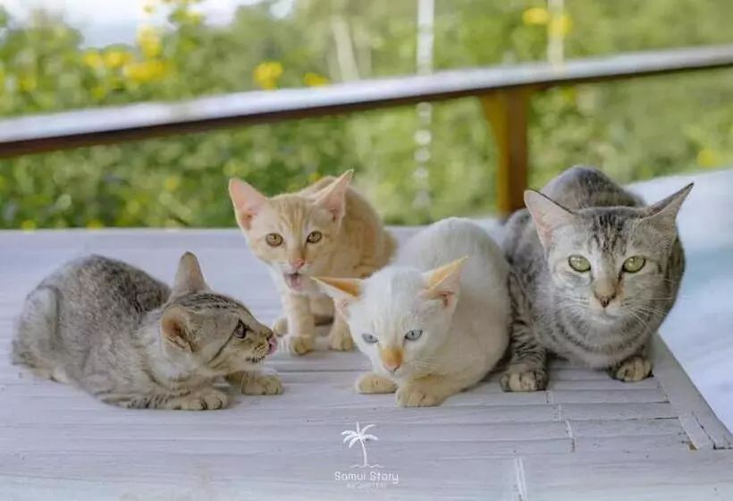 Hotelli Sz Samui Glamping