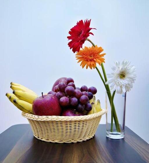 Отель Zions Airport