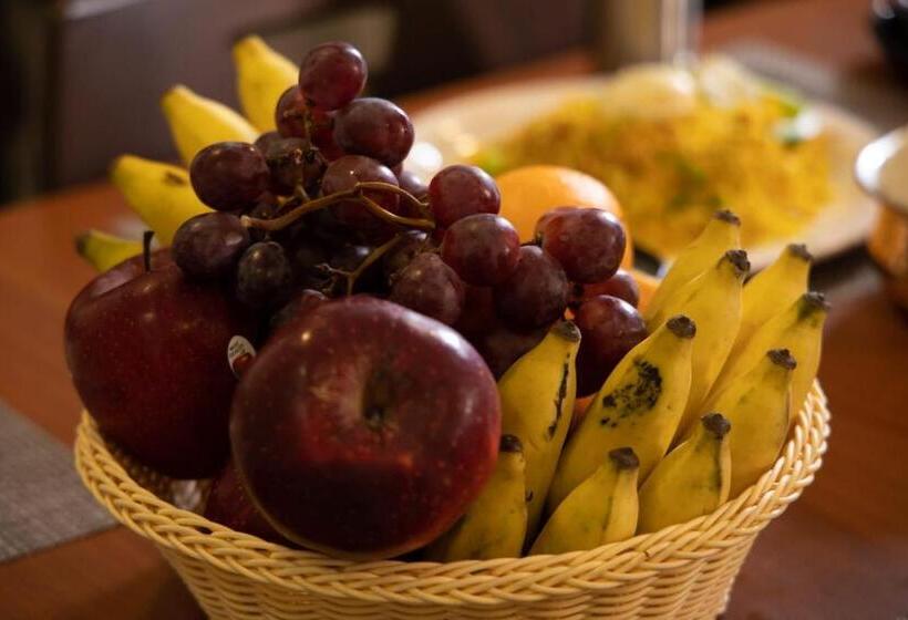 Отель Zions Airport