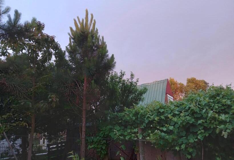 膳宿费 Laposta555