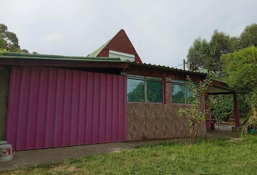 膳宿费 Laposta555