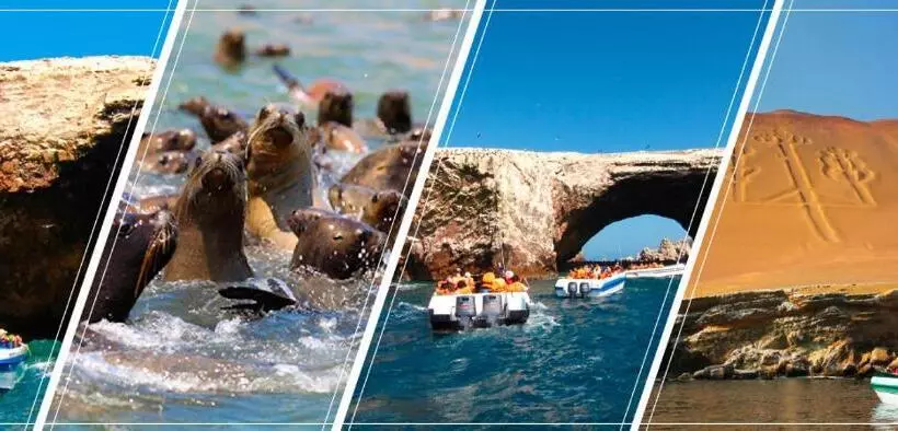 پانسیون Macarena Houses