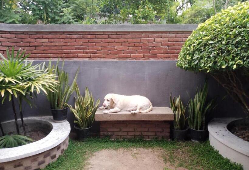 بنسيون The Brick Wonder