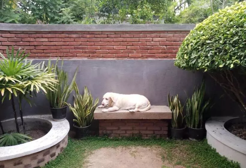 Majatalo The Brick Wonder