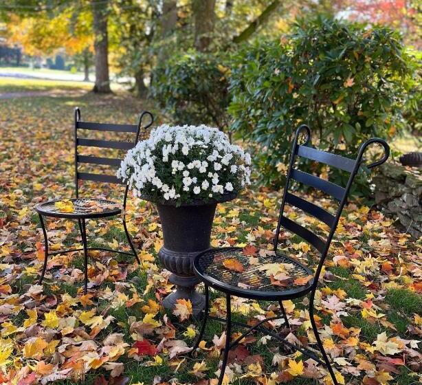 Antique1242 British Bed & Breakfast