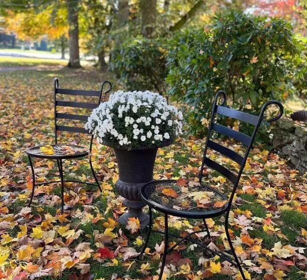 Antique1242 British Bed & Breakfast