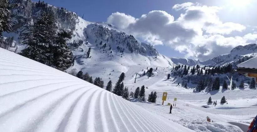 Aamiaismajoitus (B&B) Abete Rosso