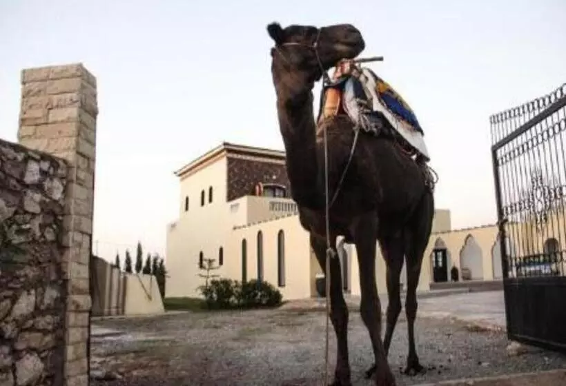 ホテル Sidi Kaouki Ayt Karoum