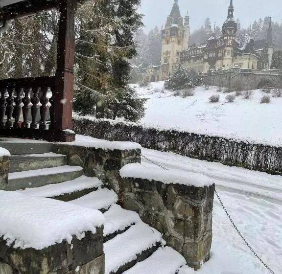 هتل Vila șipot   Casa Arhitecților