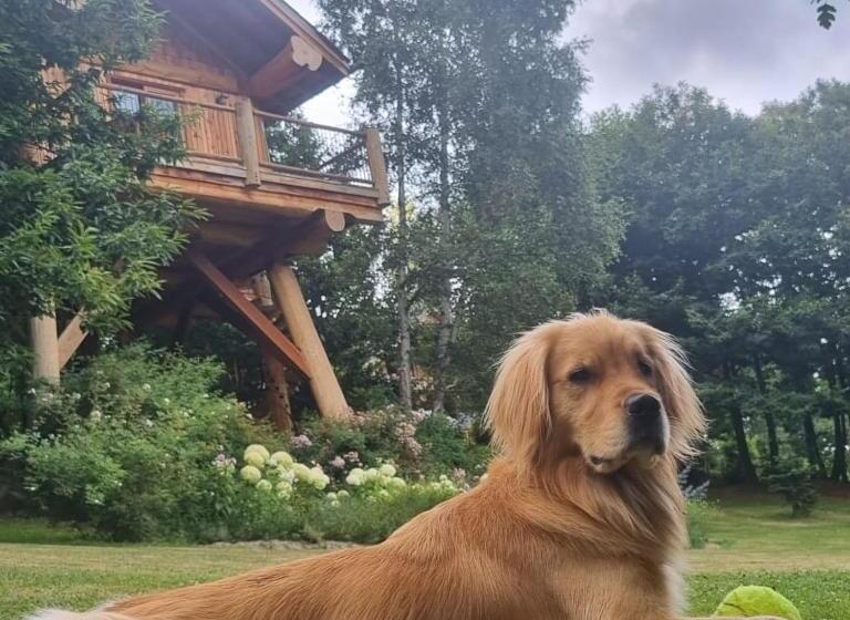 膳宿费 La Quiete Di Ileana Sofian