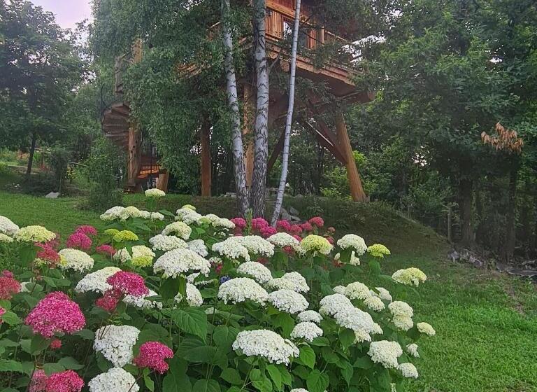 膳宿费 La Quiete Di Ileana Sofian