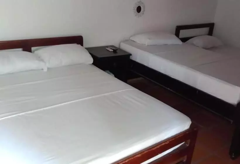 ホテル Casa Alemann En Mompox Centro Historico Con Parqueadero Y Piscina