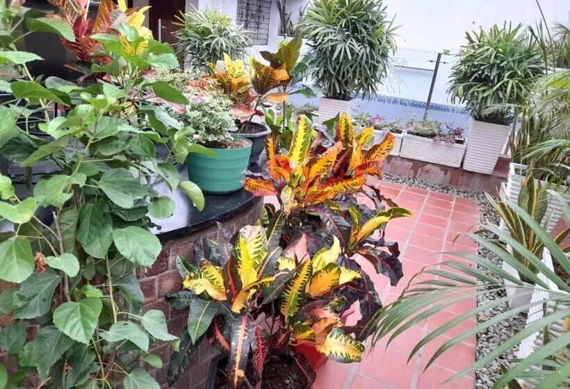 ホテル Casa Alemann En Mompox Centro Historico Con Parqueadero Y Piscina