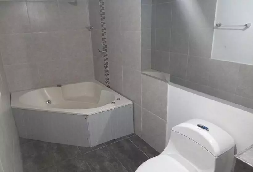 ホテル Casa Alemann En Mompox Centro Historico Con Parqueadero Y Piscina