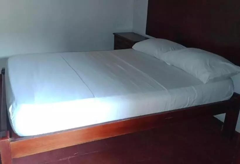 ホテル Casa Alemann En Mompox Centro Historico Con Parqueadero Y Piscina