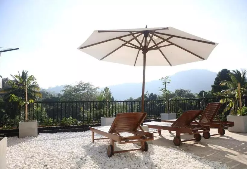 Hotelli Ceylon Ayu Resort Kandy
