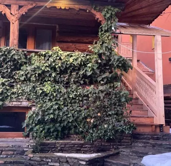 Majatalo Camera Cedru   Cătun