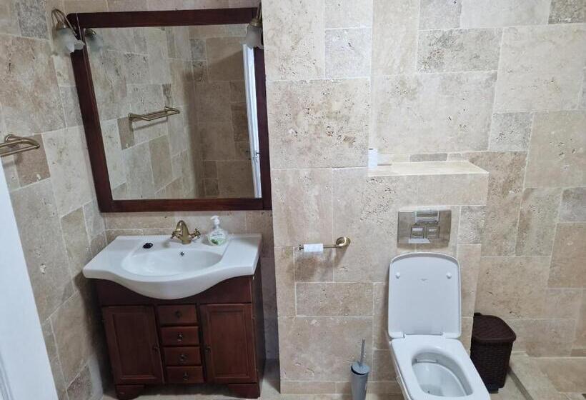 Majatalo Vila Flavius