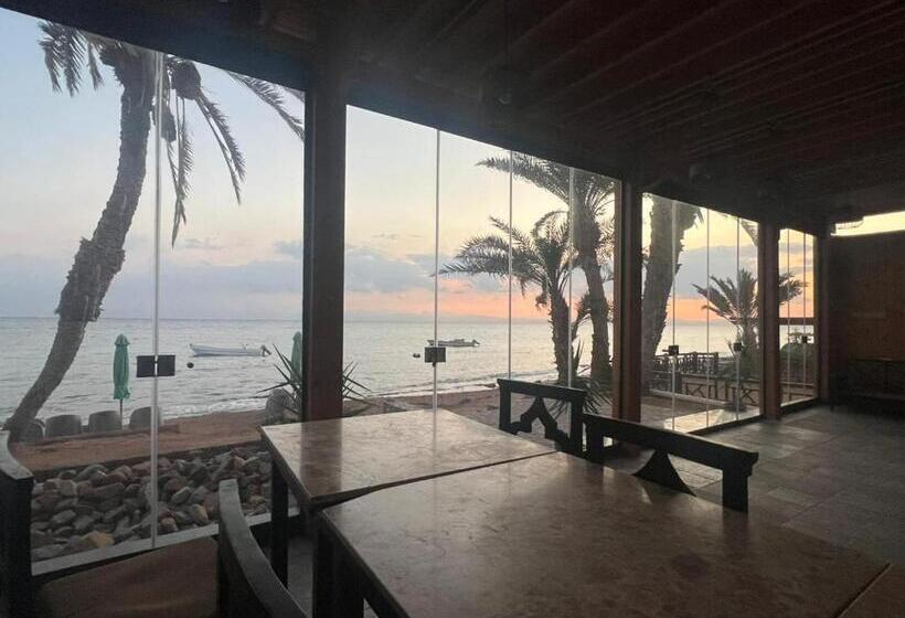 Village Light House Dahab